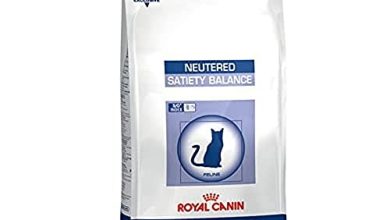 Photo of 30 Meilleur test Royal Canin Neutered Satiety Balance en 2022: après avoir recherché des options