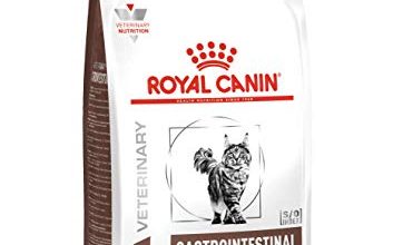 Photo of 30 Meilleur test Royal Canin Gastro Intestinal Chat en 2022: après avoir recherché des options