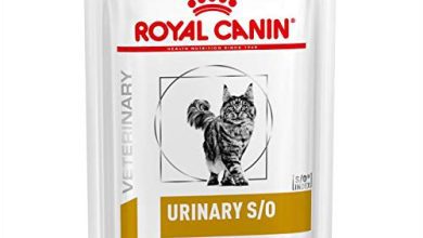 Photo of 30 Meilleur test Royal Canin Chat Urinary en 2022: après avoir recherché des options